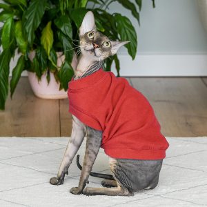 Жилет для кошек "Моди", красный (XL)