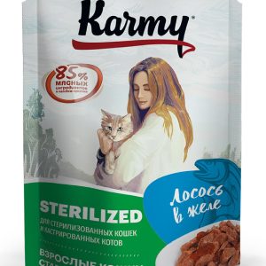 Бокс 12 шт. Паучи для стерилизованных кошек и кастрированных котов с лососем в желе (960 г)