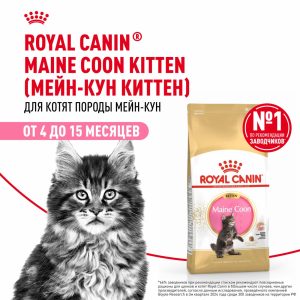 Корм сухой сбалансированный для котят породы Мэйн Кун, Maine Coon Kitten (10 кг)
