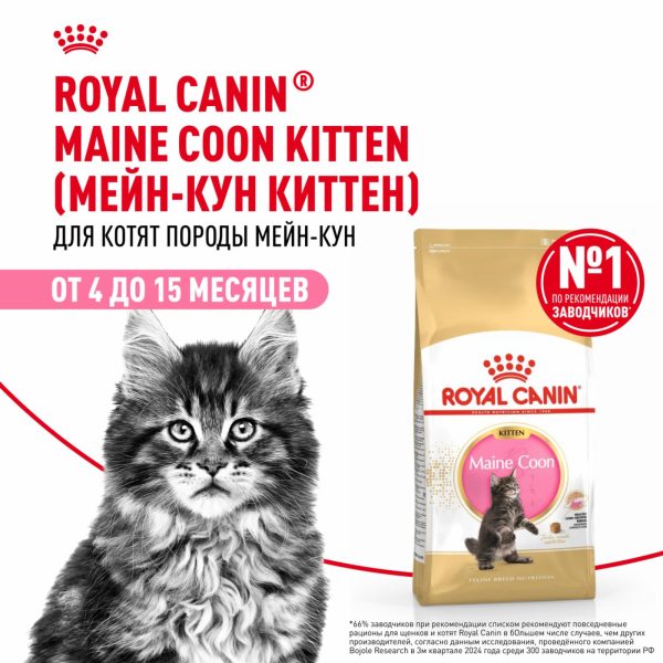 Корм сухой сбалансированный для котят породы Мэйн Кун, Maine Coon Kitten (10 кг)