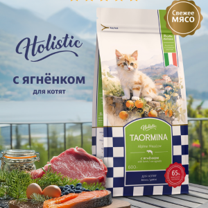 Беззерновой корм для котят cо свежими ягненком, ягодами и овощами Alpine Meadow (600 г)