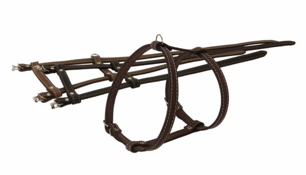 Шлейка кожаная (60х1,6 см)