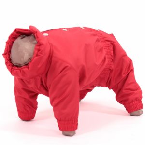 Комбинезон для собак,  Клубника, девочка (XL)