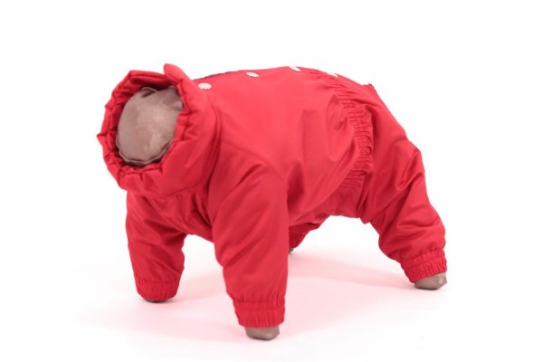 Комбинезон для собак,  Клубника, девочка (XL)
