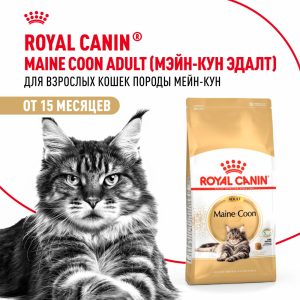Корм сухой сбалансированный для взрослых кошек породы Мэйн Кун, Maine Coon Adult (2 кг)
