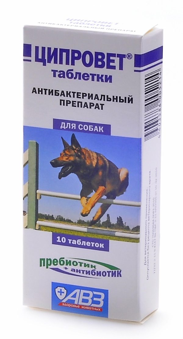 Ципровет - антибактериальный препарат для крупных и средних собак (ципрофлоксацин+пребиотик), 10 таб. (10 г)