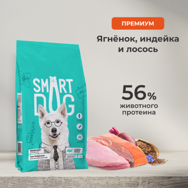 Сухой корм для взрослых собак крупных пород с ягненком, лососем и индейкой, ACTIVE, MAXI ADULT, Lamb, Salmon and Turkey (18 кг)