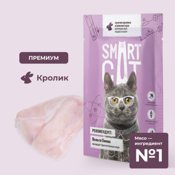 Паучи для взрослых кошек и котят кусочки кролика в нежном соусе. Влажный корм (85 г)