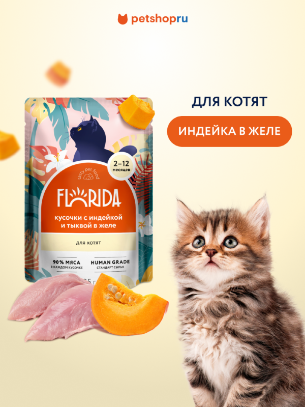 Для котят: кусочки с индейкой и тыквой в желе, 1 шт. Влажный корм (85 г)