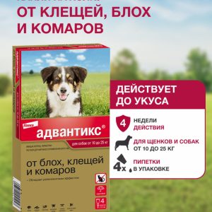 Адвантикс®  для собак от 10 до 25 кг для защиты от блох, иксодовых клещей и летающих насекомых и переносимых ими заболеваний. 4 пипетки в упаковке. (10 г)