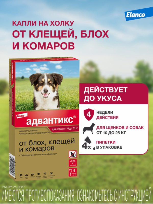 Адвантикс®  для собак от 10 до 25 кг для защиты от блох, иксодовых клещей и летающих насекомых и переносимых ими заболеваний. 4 пипетки в упаковке. (10 г)