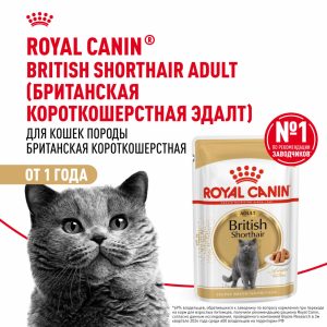 Для взрослых британских короткошерстных кошек, кусочки в соусе, British Shorthair Adult (1 шт)