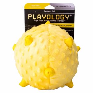 Сенсорный плюшевый мяч Playology PUPPY SENSORY BALL для щенков 8-16 недель с ароматом курицы (11 см)
