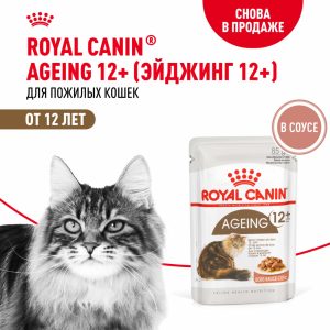 Паучи для кошек старше 12 лет, AGEING 12+, кусочки в соусе (85 г)
