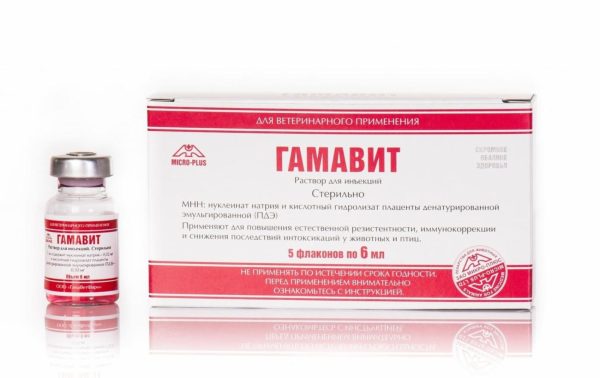 Гамавит, 5 флаконов по 6 мл, раствор для инъекций (7 г)