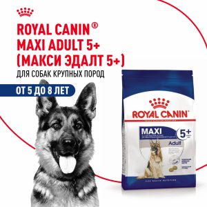 Корм сухой для взрослых собак крупных размеров от 5 лет до 8 лет, Maxi Adult (15 кг)