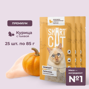 "Упаковка 25 шт" Паучи для взрослых кошек и котят кусочки курочки с тыквой в нежном соусе. Влажный корм (25 шт)