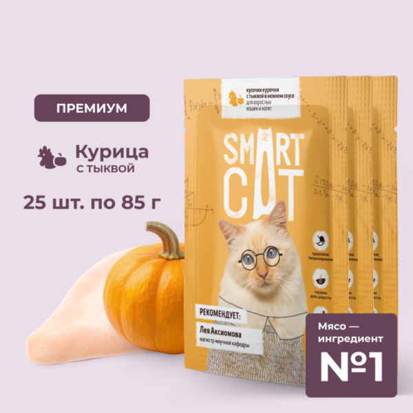 "Упаковка 25 шт" Паучи для взрослых кошек и котят кусочки курочки с тыквой в нежном соусе. Влажный корм (25 шт)