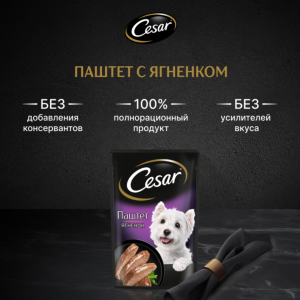 Влажный корм для взрослых собак, паштет с ягненком (80 г)