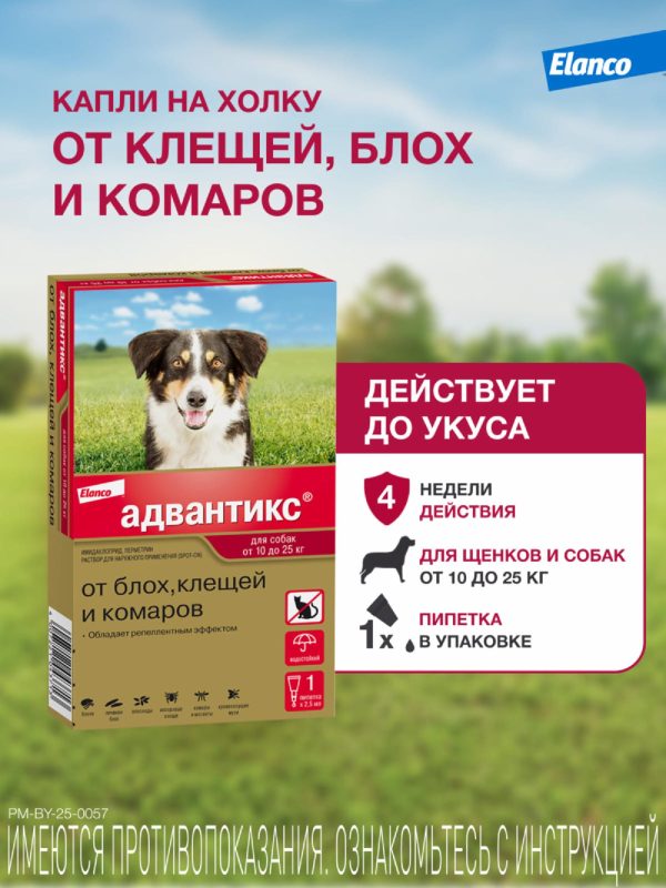 Адвантикс®  для собак от 10 до 25 кг для защиты от блох, иксодовых клещей и летающих насекомых и переносимых ими заболеваний. 1 пипетка в упаковке. (1 * 2,5 мл)