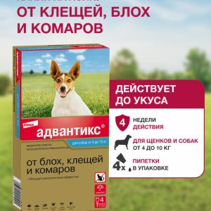 Адвантикс®  для собак от 4 до 10 кг для защиты от блох, иксодовых клещей и летающих насекомых и переносимых ими заболеваний. 4 пипетки в упаковке. (10 г)
