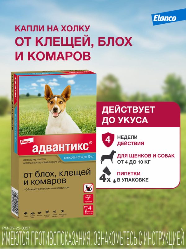 Адвантикс®  для собак от 4 до 10 кг для защиты от блох, иксодовых клещей и летающих насекомых и переносимых ими заболеваний. 4 пипетки в упаковке. (10 г)