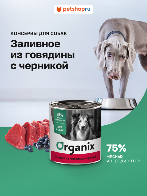 Консервы для собак Заливное из говядины с черникой. Влажный корм (400 г)