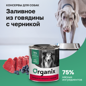 Консервы для собак Заливное из говядины с черникой. Влажный корм (100 г)