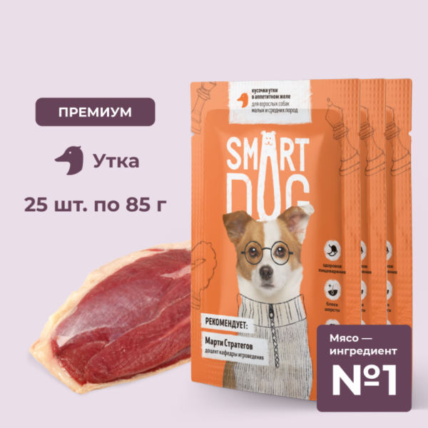 "Упаковка 25 шт" Паучи для взрослых собак малых и средних пород кусочки утки в аппетитном желе (25 шт)