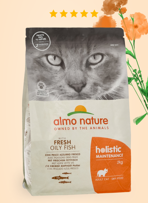 HOLISTIC Сухой корм для взрослых кошек со свежей морской рыбой, Life Maintenance, Fresh Oily Fish (400 г)