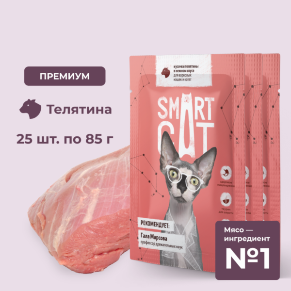 "Упаковка 25 шт"  Паучи для взрослых кошек и котят кусочки телятины в нежном соусе. Влажный корм (25 шт)