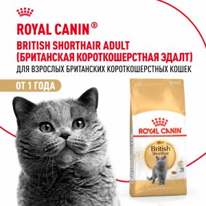 Корм сухой сбалансированный для взрослых британских короткошерстных кошек, British Shorthair Adult (4 кг)