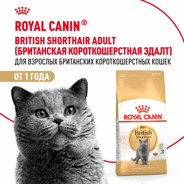 Корм сухой сбалансированный для взрослых британских короткошерстных кошек, British Shorthair Adult (4 кг)