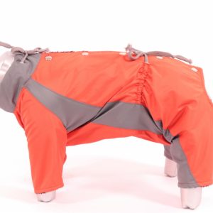Комбинезон для собак,  Красная медь, мальчик (XL)