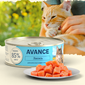 Для кошек и котят с лососем, Natural&Healthy Salmon, 100 г, Влажный корм (100 г)