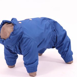 Комбинезон для собак, Инжир, мальчик (XL)