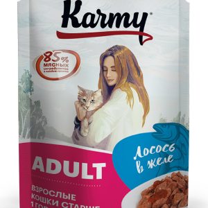 Бокс 12 шт. Паучи для кошек с лососем в желе старше 1 года (960 г)