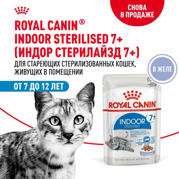 Паучи для домашних кошек 7-12 лет, Кусочки в желе, Indoor Sterilised 7+ (85 г)