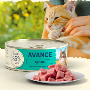 Для кошек и котят с кроликом, Natural&Healthy Rabbit, 100 г, Влажный корм (100 г)