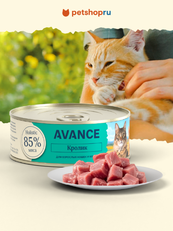 Для кошек и котят с кроликом, Natural&Healthy Rabbit, 100 г, Влажный корм (100 г)