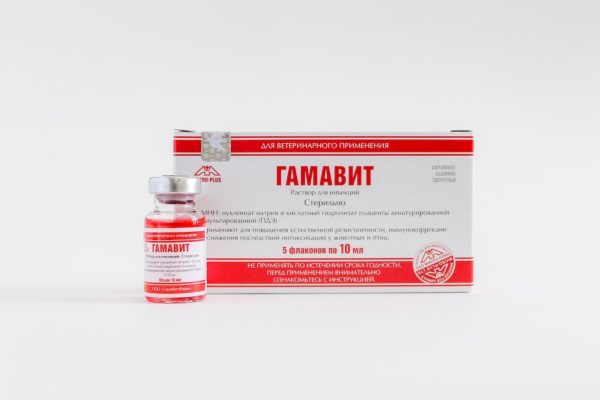 Гамавит, 5 флаконов по 10 мл, раствор для инъекций (11 г)
