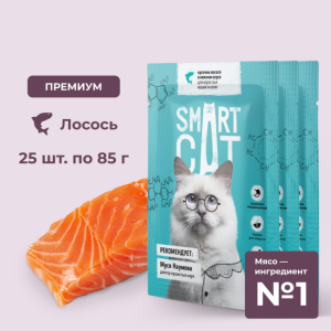 "Упаковка 25 шт" Паучи для взрослых кошек и котят кусочки лосося в нежном соусе. Влажный корм (25 шт)