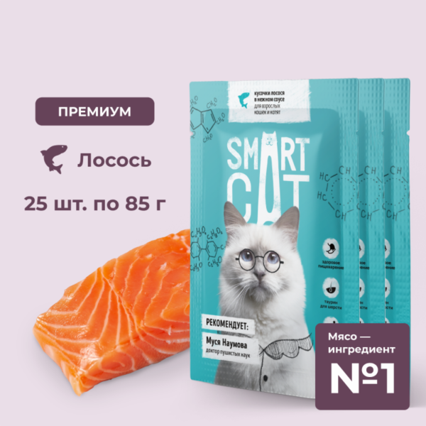 "Упаковка 25 шт" Паучи для взрослых кошек и котят кусочки лосося в нежном соусе. Влажный корм (25 шт)