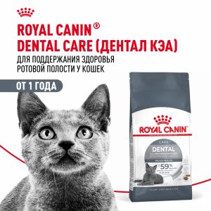 Корм сухой полнорационный сбалансированный для взрослых кошек, Dental Care (1.5 кг)
