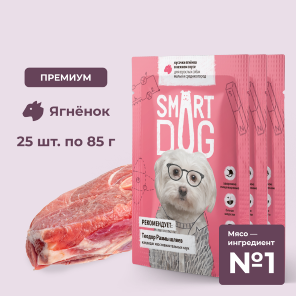 "Упаковка 25 шт" Паучи для взрослых собак малых и средних пород кусочки ягненка в нежном соусе (25 шт)