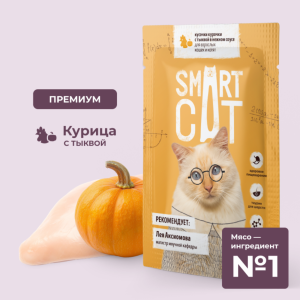 Паучи для взрослых кошек и котят кусочки курочки с тыквой в нежном соусе. Влажный корм (85 г)