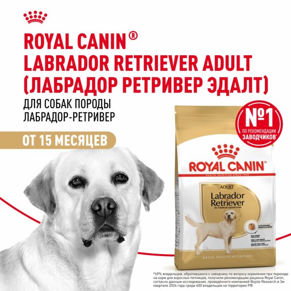 Корм сухой для взрослых собак породы Лабрадор Ретривер от 15 месяцев, Labrador Retriever Adult (3 кг)