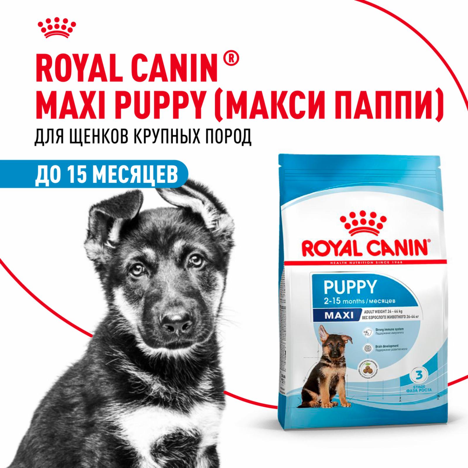 Корм сухой для щенков крупных размеров в возрасте до 15 месяцев, Maxi Puppy (15 кг)