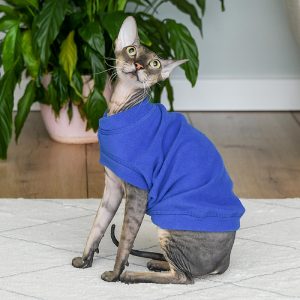 Жилет для кошек "Ньёрд", синий (XL)