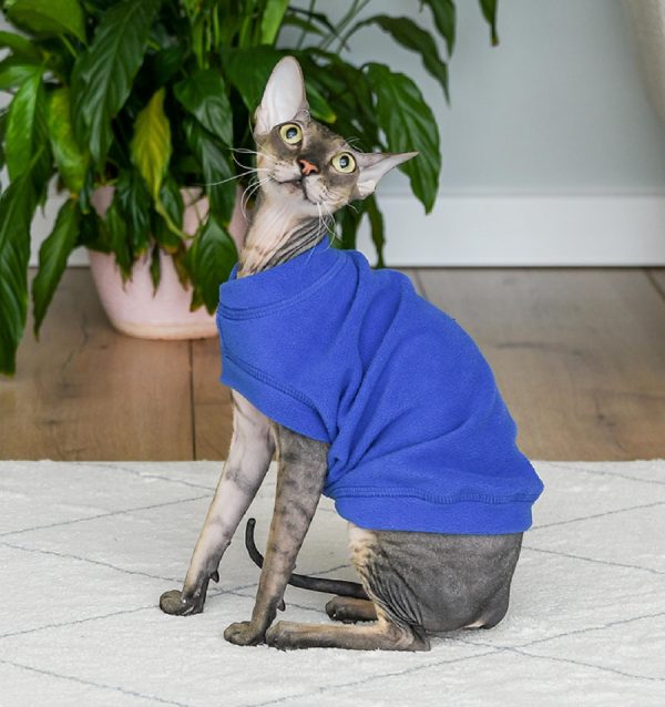 Жилет для кошек "Ньёрд", синий (XL)